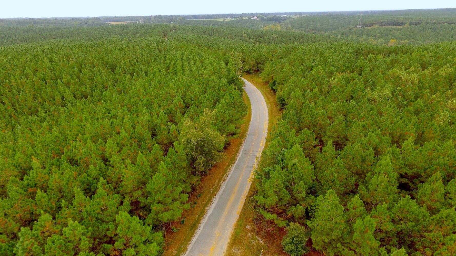 Summertown, Lawrence County, TN Undeveloped Land for sale Property ID