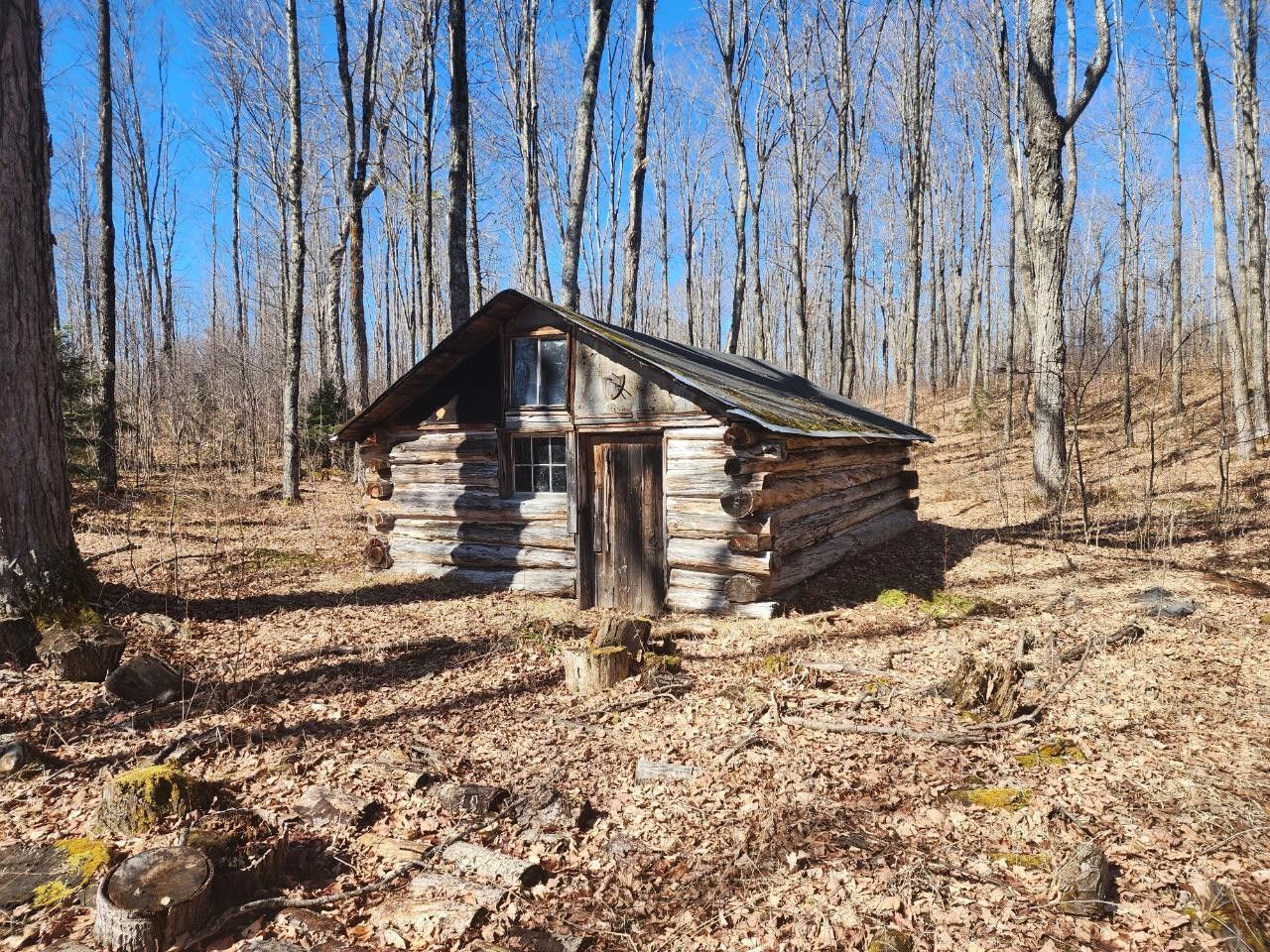 Bruce Crossing, Ontonagon County, MI Undeveloped Land for sale Property ID 419149976 LandWatch