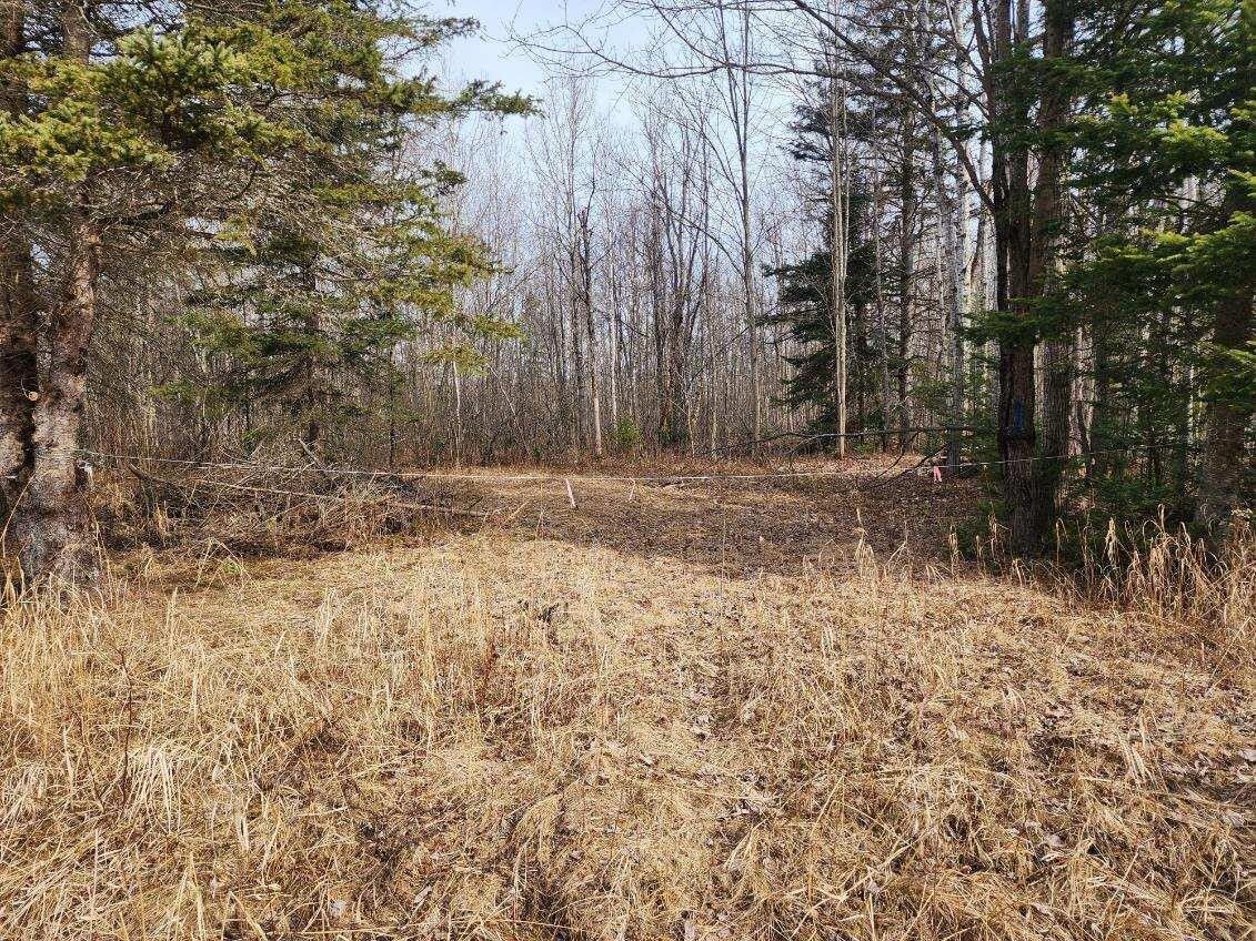 E 8 Mile RD, Sugar Island, MI 49783 MLS 24190 LandWatch
