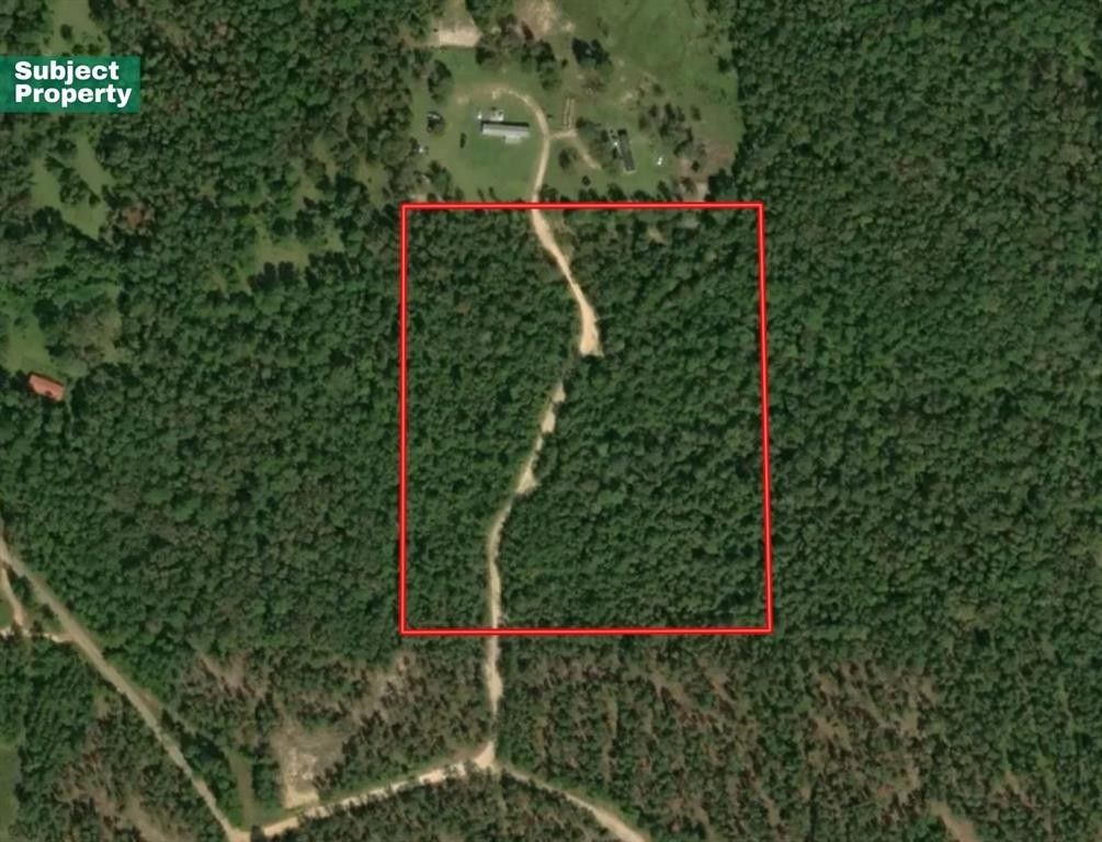 Newton, Newton County, TX Undeveloped Land for sale Property ID