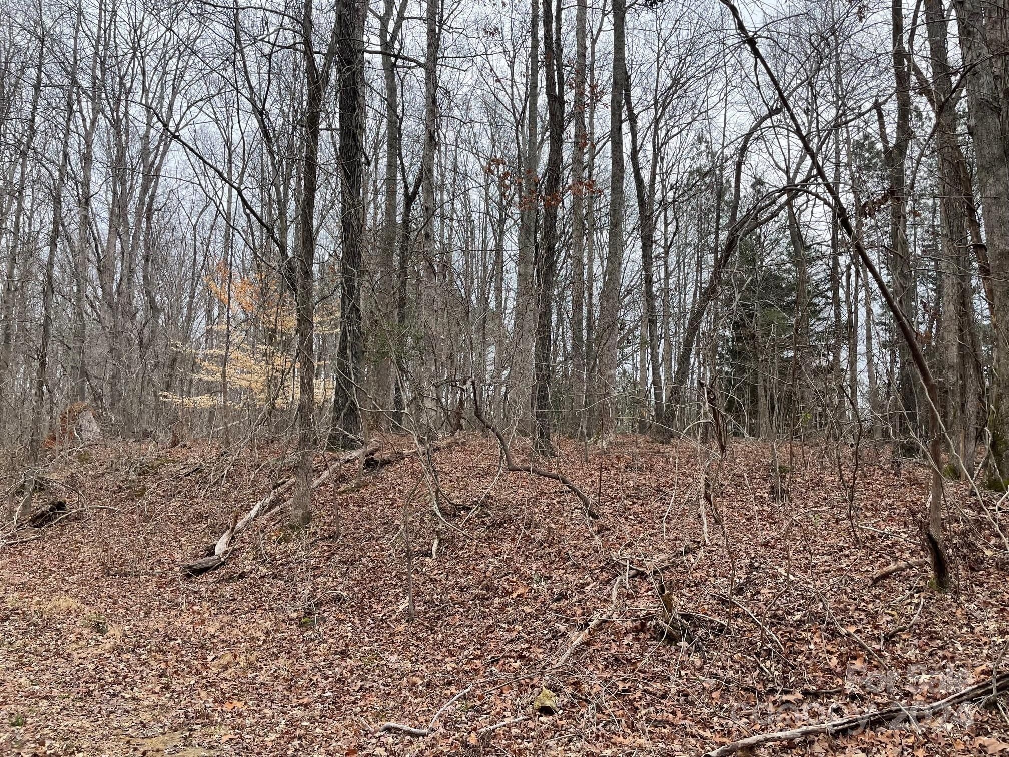 000 S Lineberry Street, Troy, NC 27371 | MLS: 4118596 | LandWatch