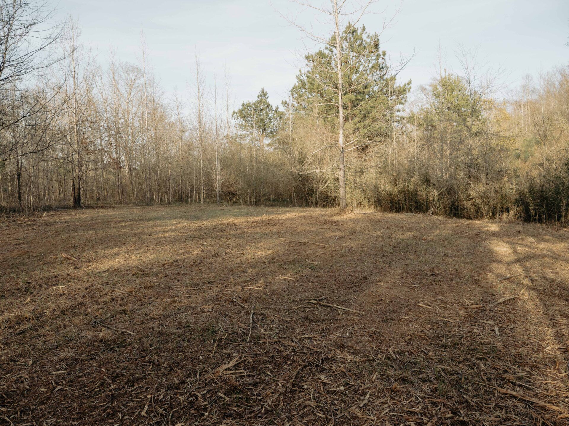 50 Acres, Simpson County, MS, Mendenhall, MS 39114 LandWatch