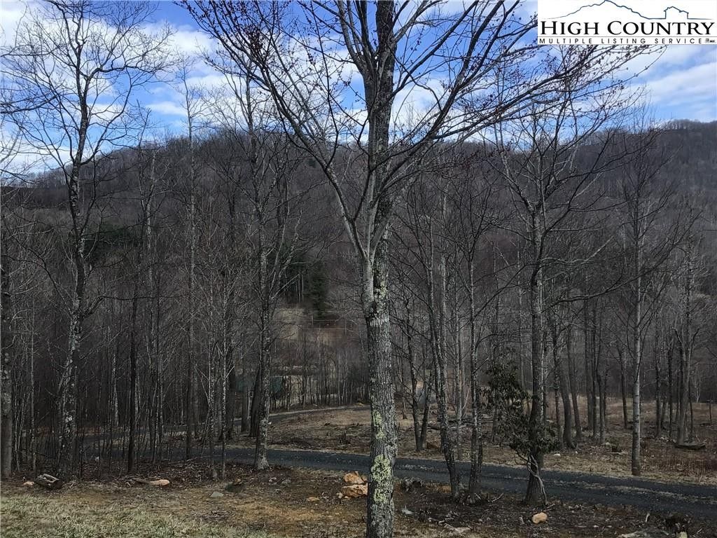 Todd, Ashe County, NC House for sale Property ID 419153886 LandWatch