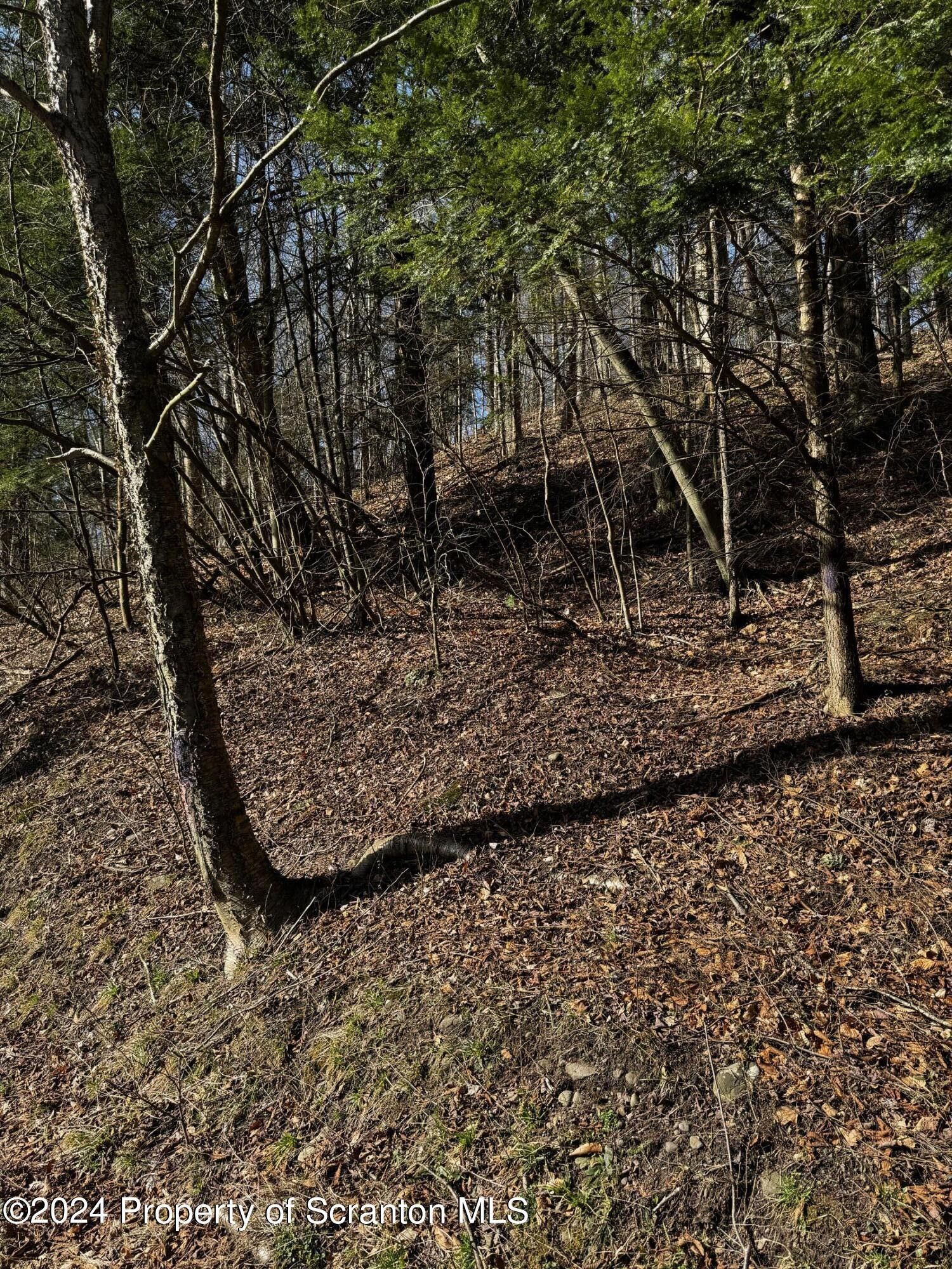 Lot 5 State Route 29 South, Noxen, PA 18636 MLS SC1507 LandWatch