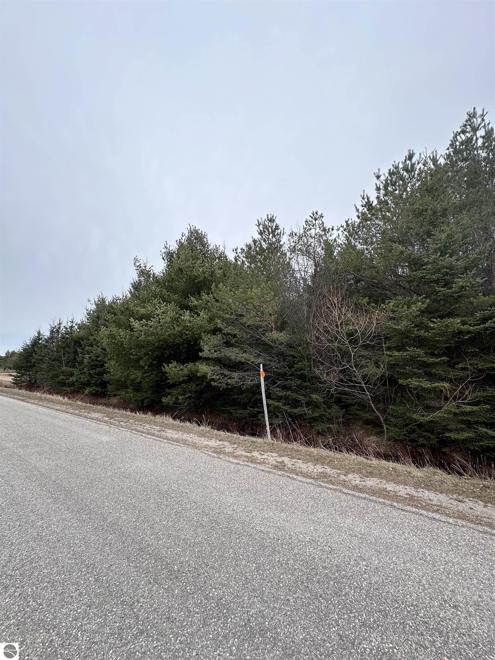 Alanson, Emmet County, MI Undeveloped Land for sale Property ID
