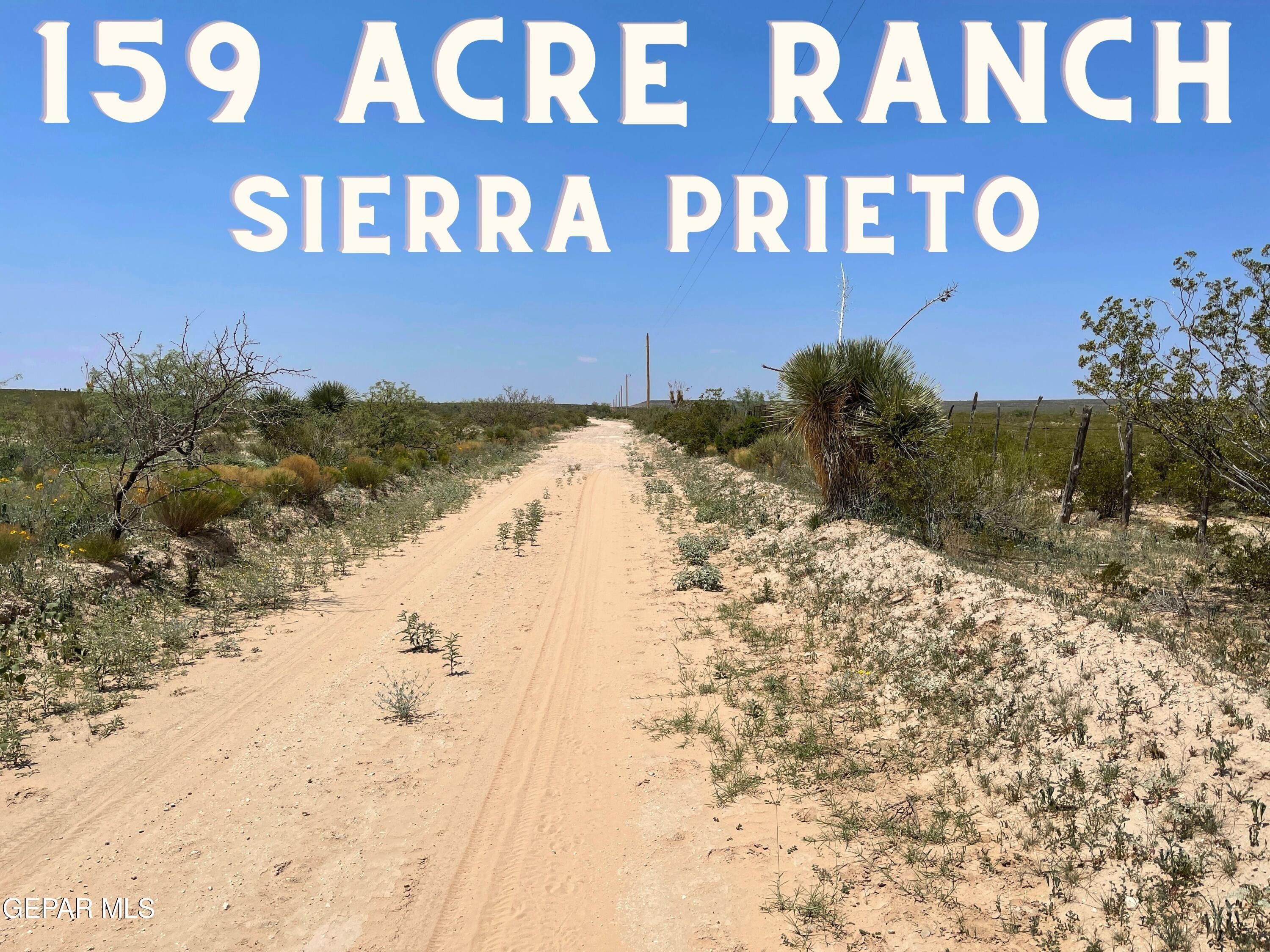 159 Acres Ranch Sierra Prieto, Sierra Blanca, TX 79851 MLS 897963