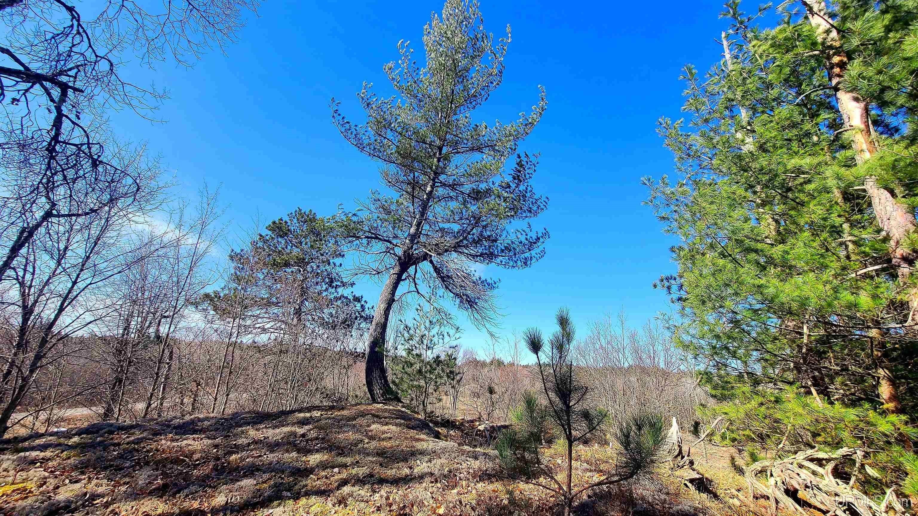 Beecher, County, WI Undeveloped Land for sale Property ID