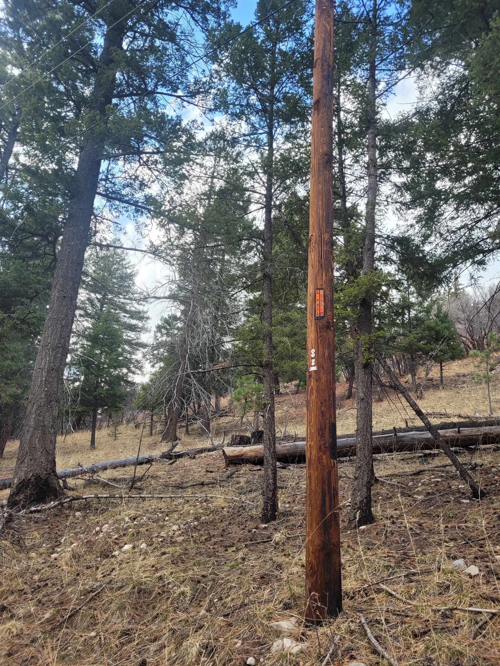 50 Enchanted Forest Ln, Cloudcroft, NM 88317 MLS 169066 LandWatch