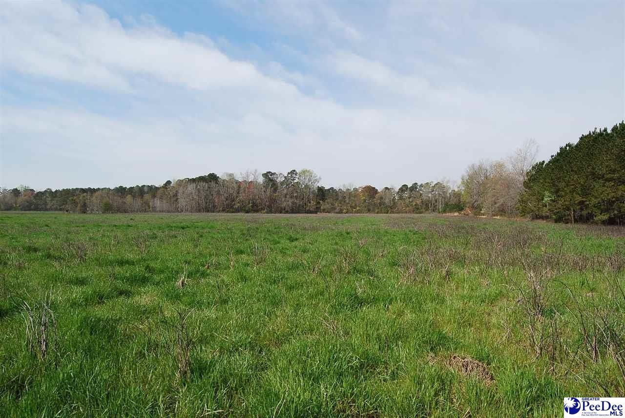 Effingham, Florence County, SC for sale Property ID 419168479 LandWatch