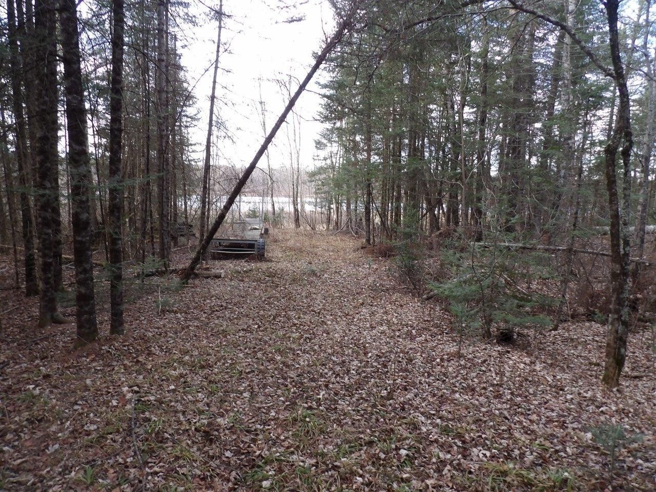 Loretta, Sawyer County, WI Undeveloped Land, Lakefront Property