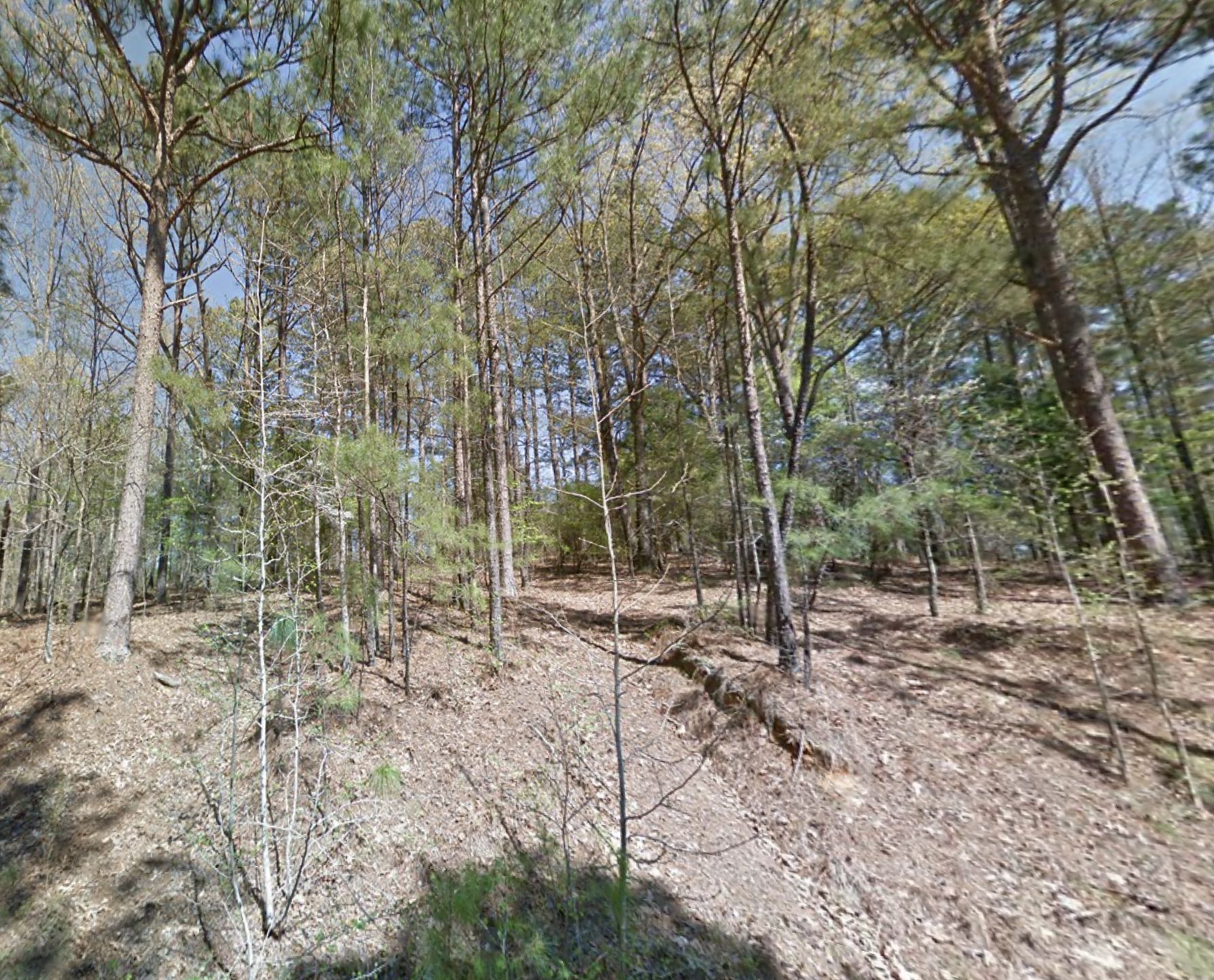 River Oak Dr N, Gadsden, AL 35907 LandWatch
