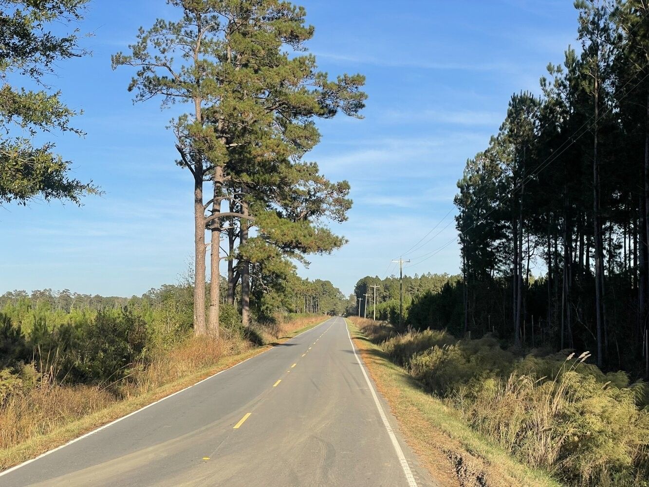 Hemingway, County, SC Undeveloped Land for sale Property ID