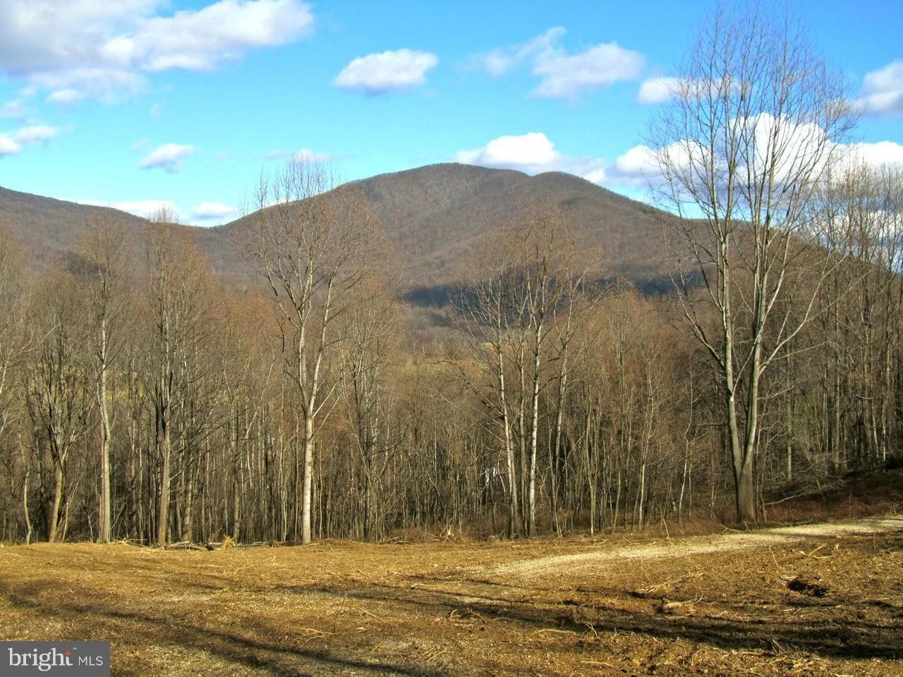 Washington, Rappahannock County, VA Undeveloped Land for sale Property