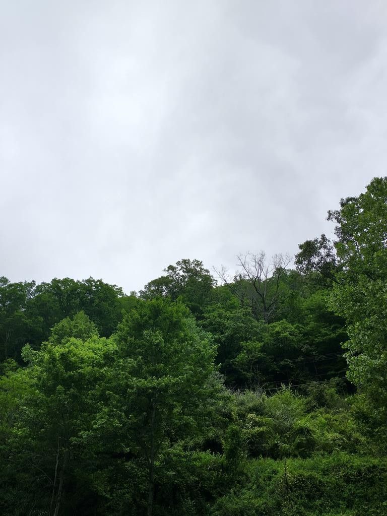 186 Old Davy Rd, Davy, WV 24828 MLS 52942 LandWatch