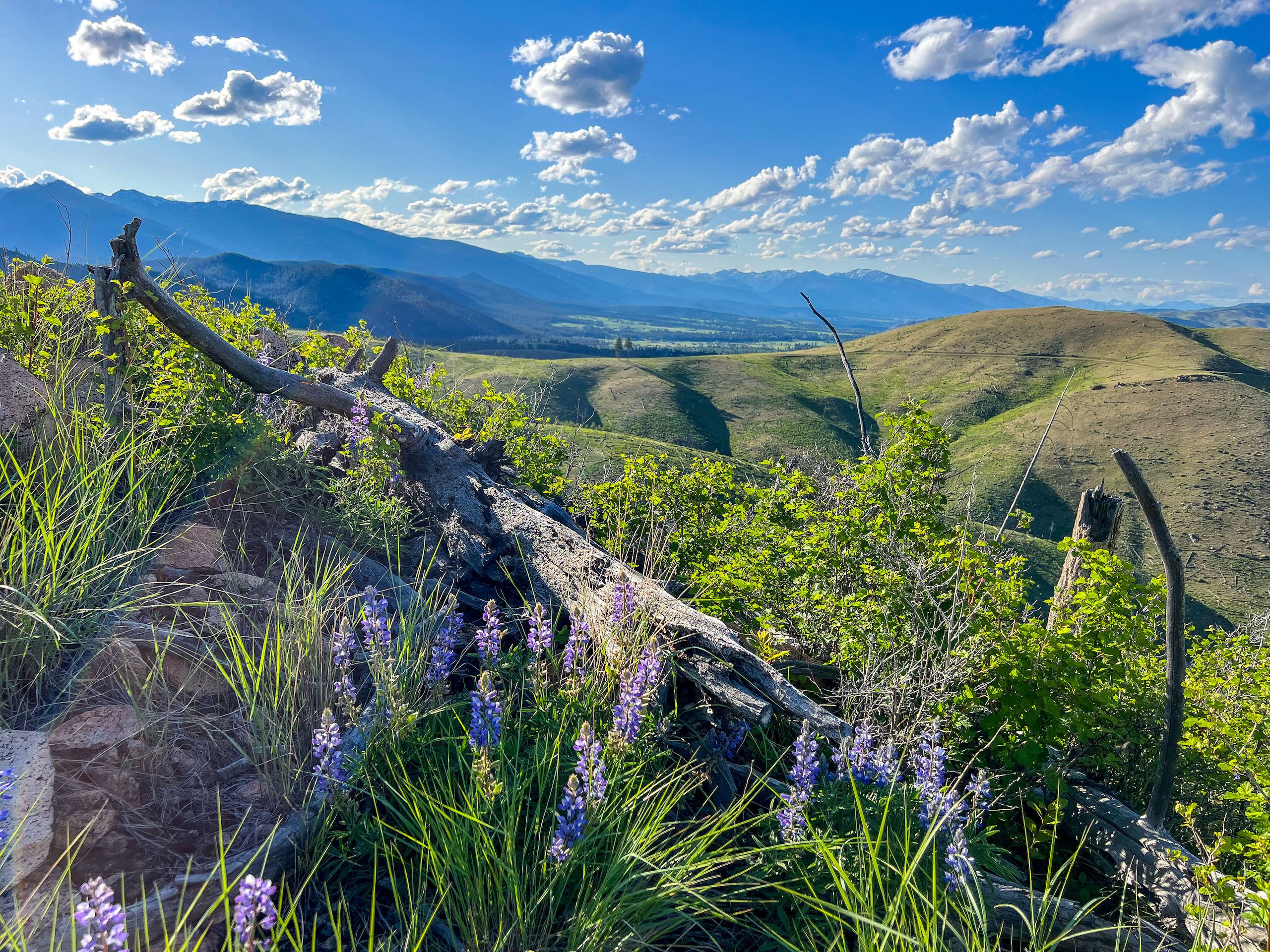 Conner, Ravalli County, MT Farms and Ranches, Recreational Property