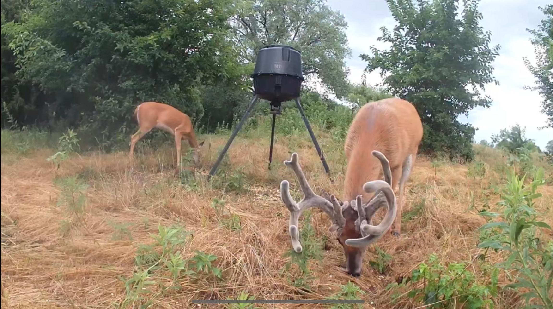 156 acres in Kingman, KS, 67068 MLS 638116 LandWatch