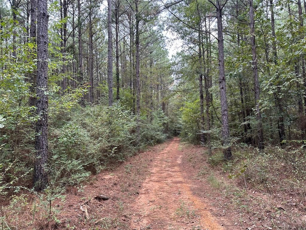 Bastrop, Morehouse Parish, LA Undeveloped Land for sale Property ID