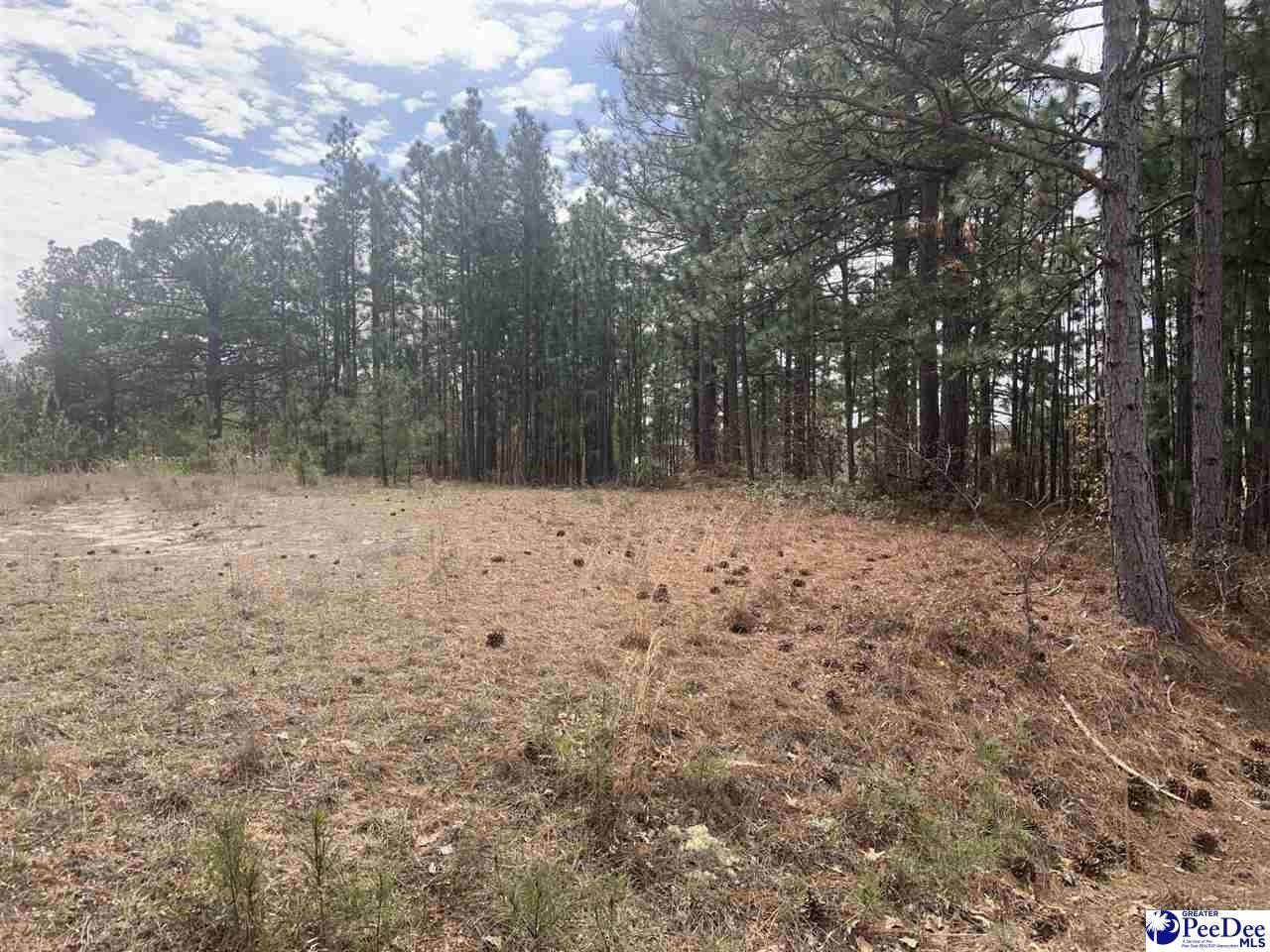 lot C Ammons Lane, Hartsville, SC 29550 MLS 20241011 LandWatch