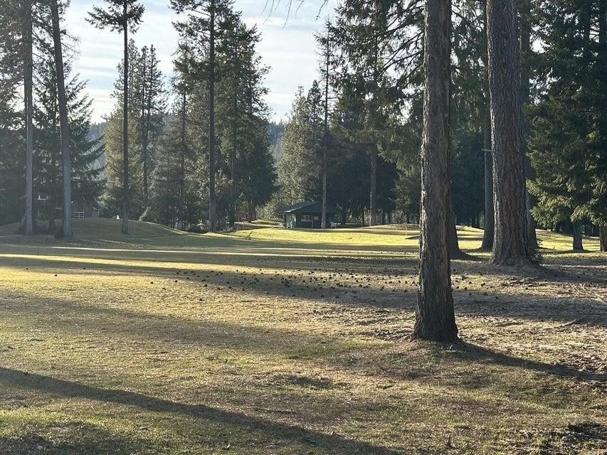 Chewelah, Stevens County, WA Undeveloped Land, Homesites for sale