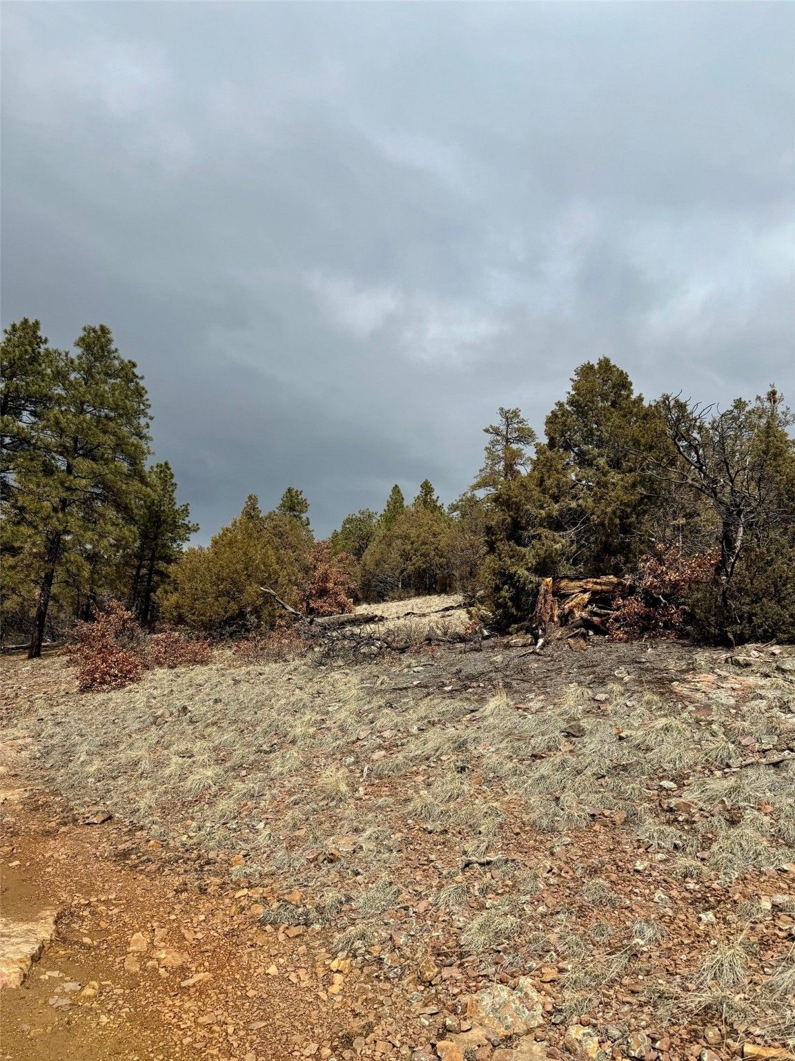Tbd Ponderosa S/D, Chama, NM 87520 MLS 202400932 LandWatch