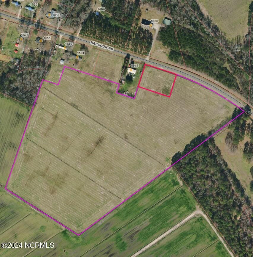 Willard, Pender County, NC Undeveloped Land for sale Property ID