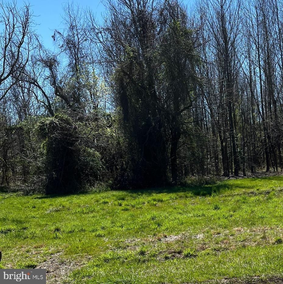 Stevensville, Queen Annes County, MD Farms and Ranches, Homesites for