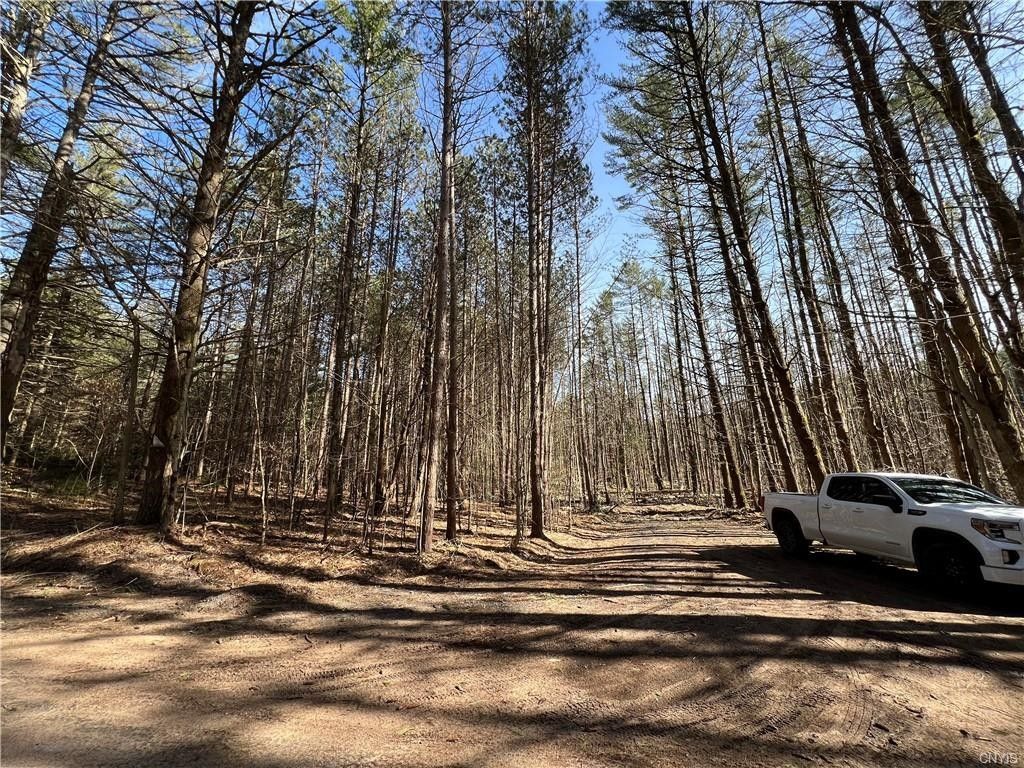 Watson, Lewis County, NY Undeveloped Land, Homesites for sale Property