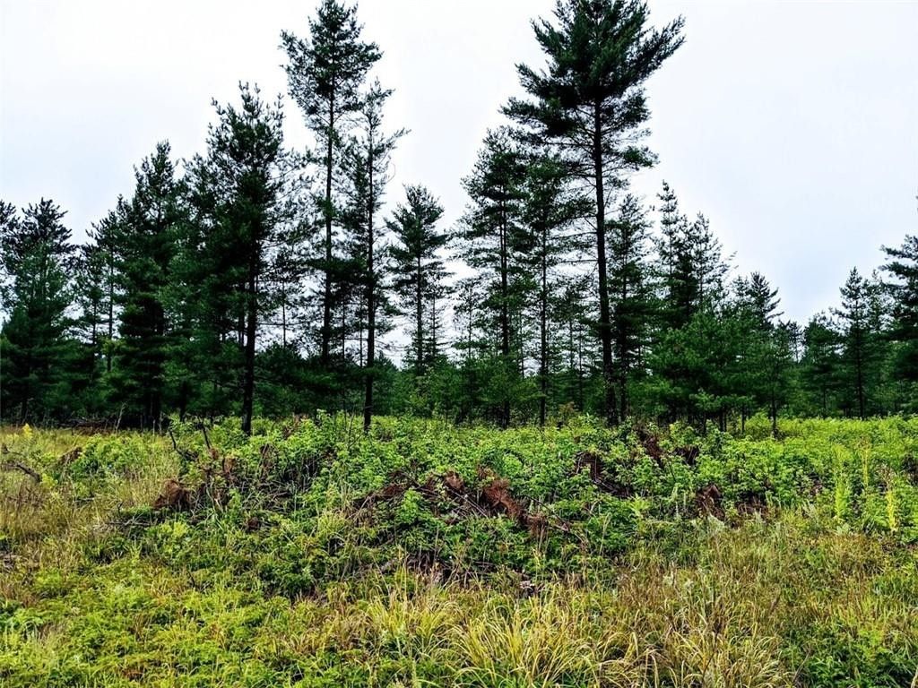 Ridgeland, Dunn County, WI Undeveloped Land, Lakefront Property