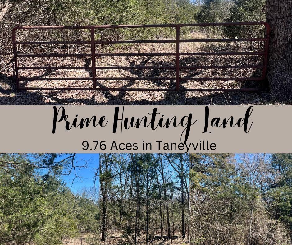 Taneyville, Taney County, MO Undeveloped Land for sale Property ID