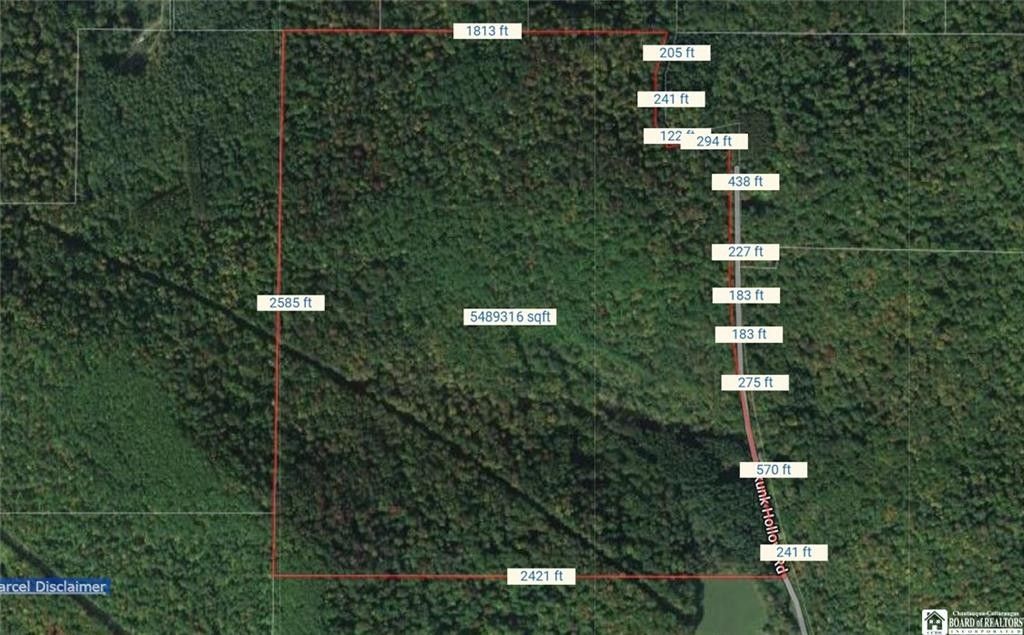 Little Genesee, Allegany County, NY Undeveloped Land for sale Property
