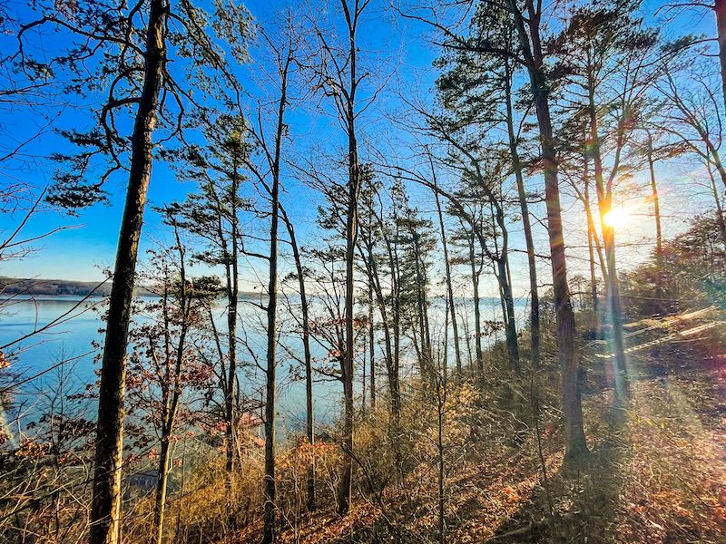 Waterloo, Lauderdale County, AL Timberland Property, Riverfront