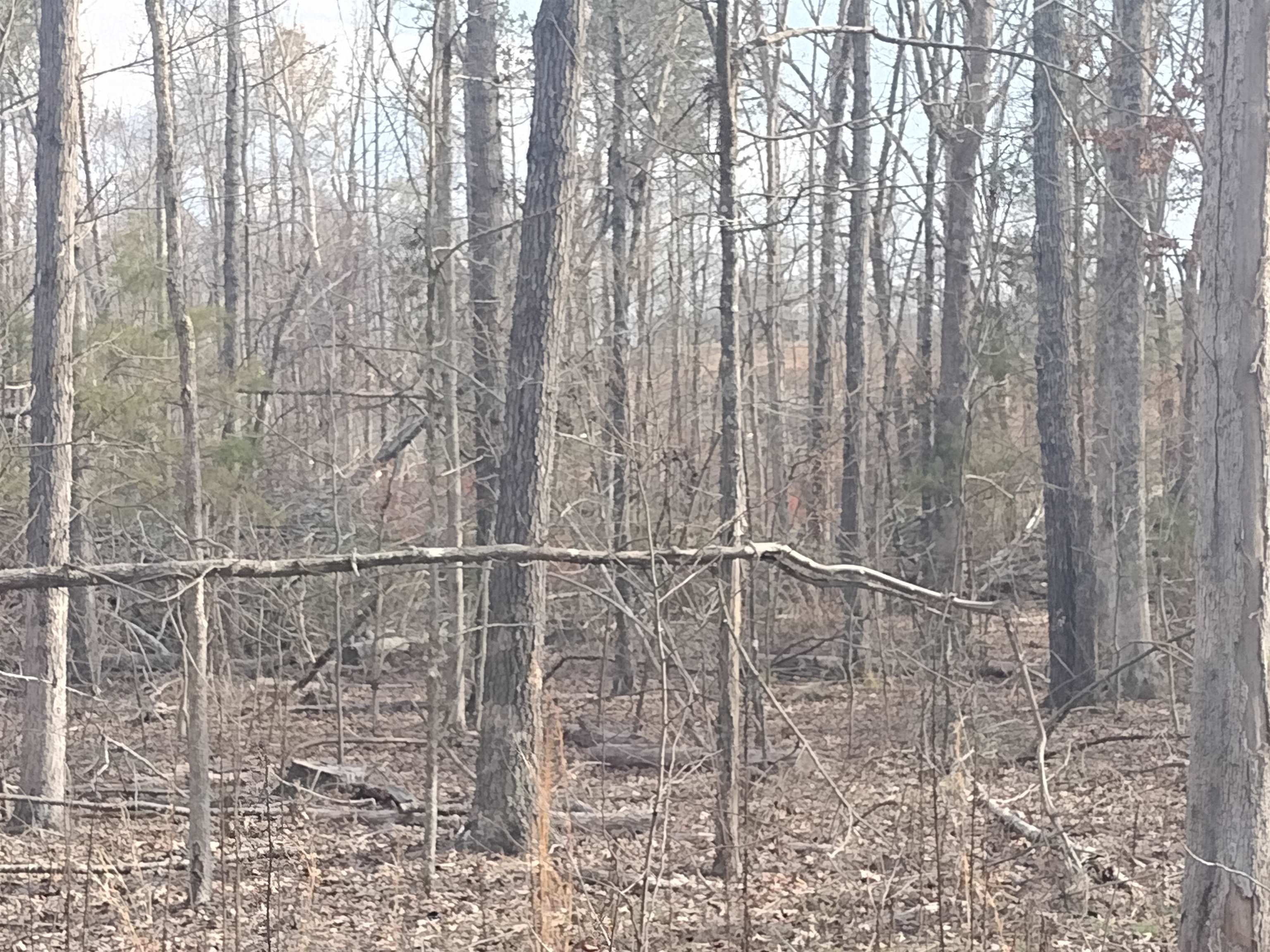 Adamsville, McNairy County, TN Undeveloped Land for sale Property ID