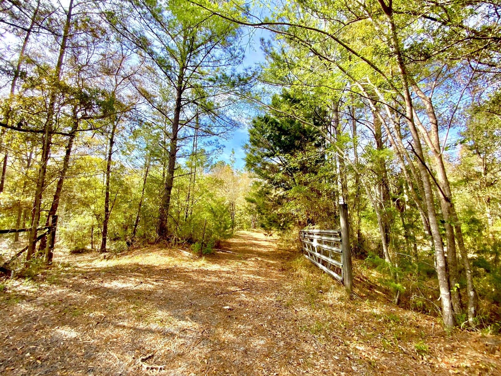 Ponce De Leon, Holmes County, FL Undeveloped Land, Lakefront Property