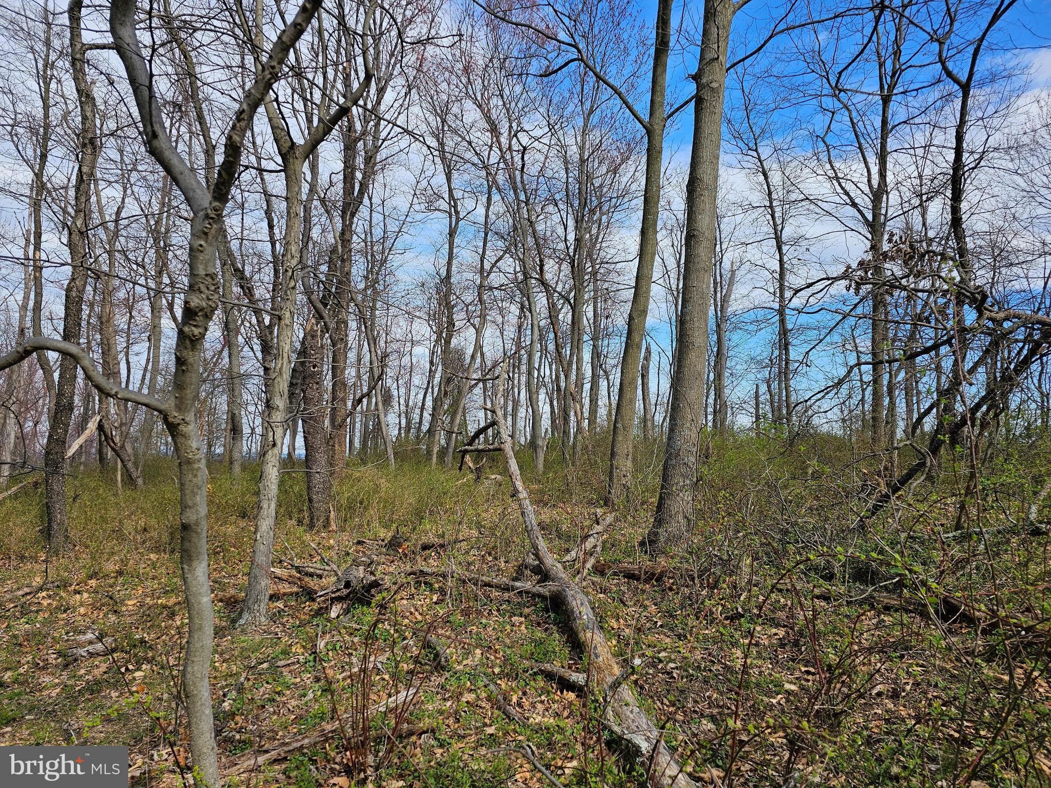 Mercersburg, Franklin County, PA Undeveloped Land for sale Property ID