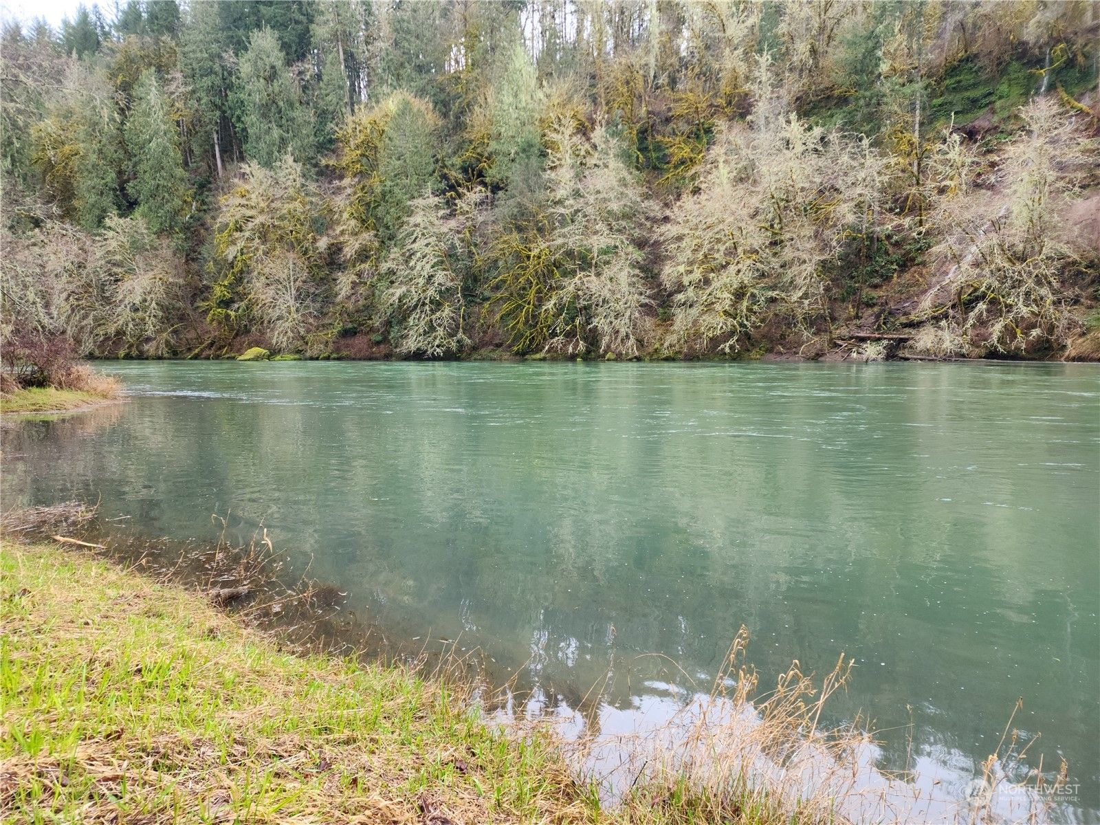 Mossyrock, Lewis County, WA for sale Property ID 419075037 LandWatch