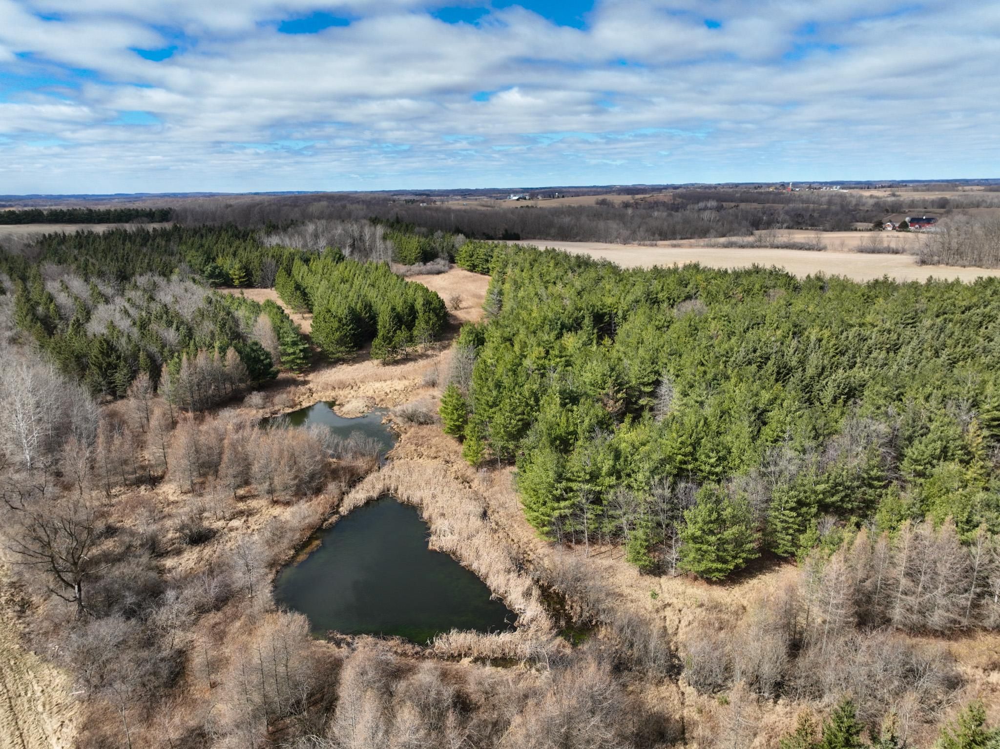Spring Valley, Pierce County, WI Recreational Property, Timberland