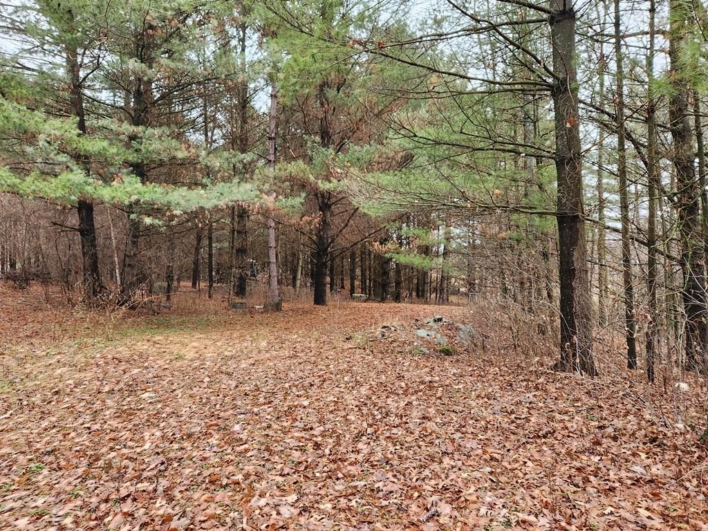 Manawa, Waupaca County, WI Recreational Property, Hunting Property for