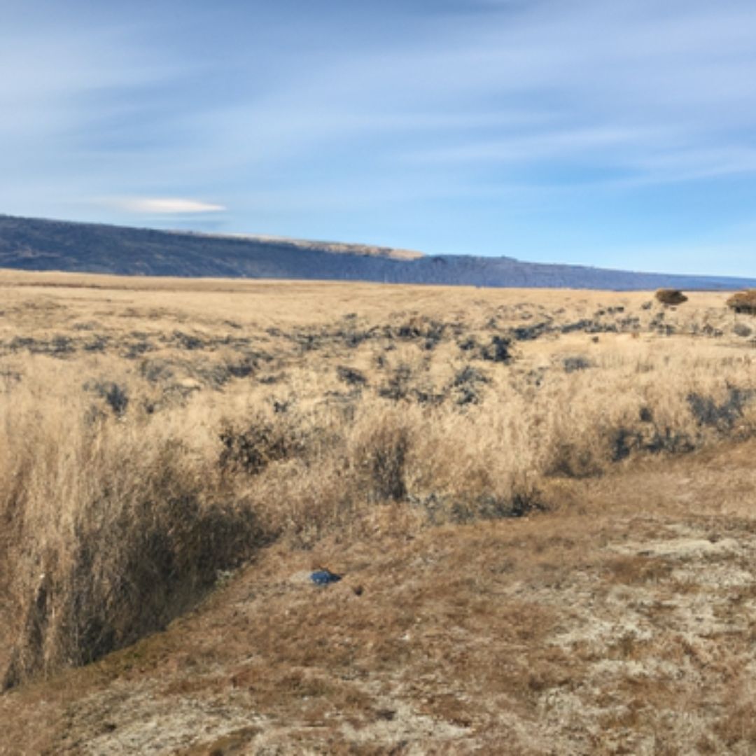 NV233, Wells, NV 89835 LandWatch