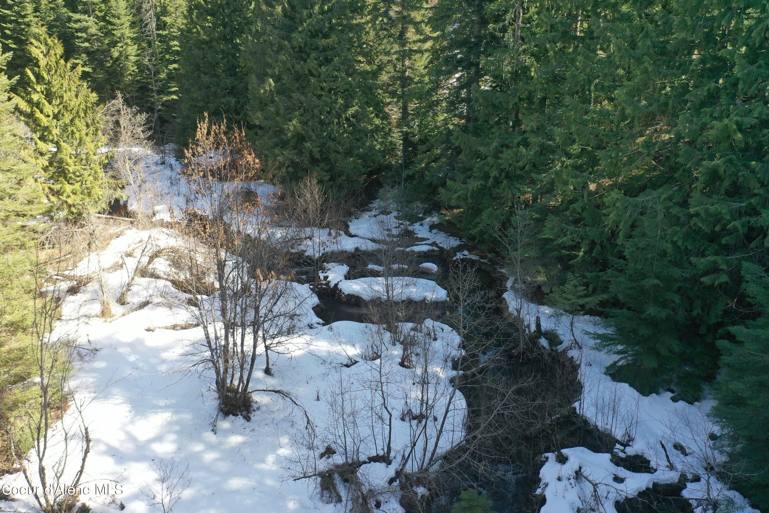 Fernwood, Benewah County, ID Undeveloped Land for sale Property ID