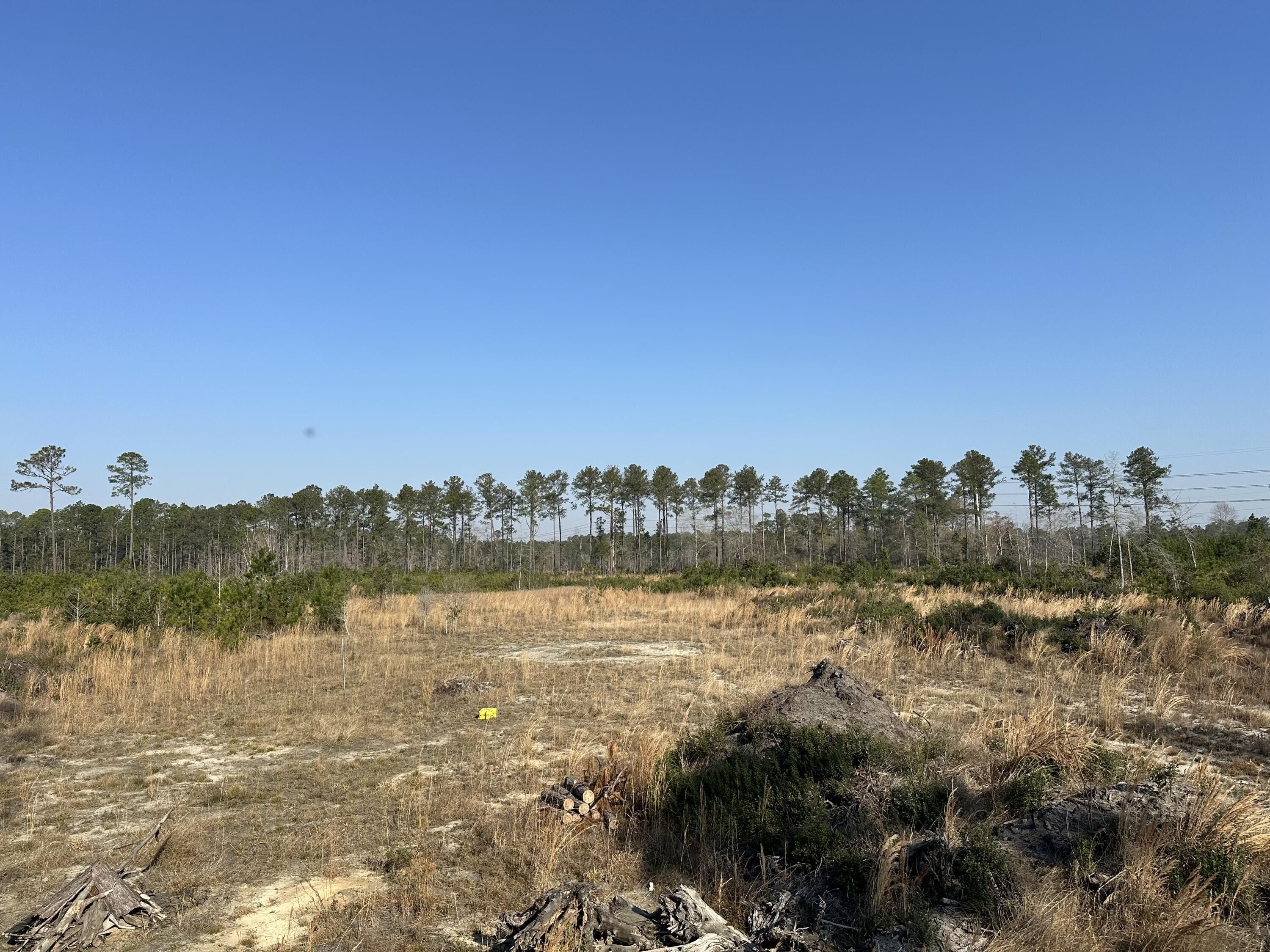 Dorchester, Dorchester County, SC Undeveloped Land for sale Property ID