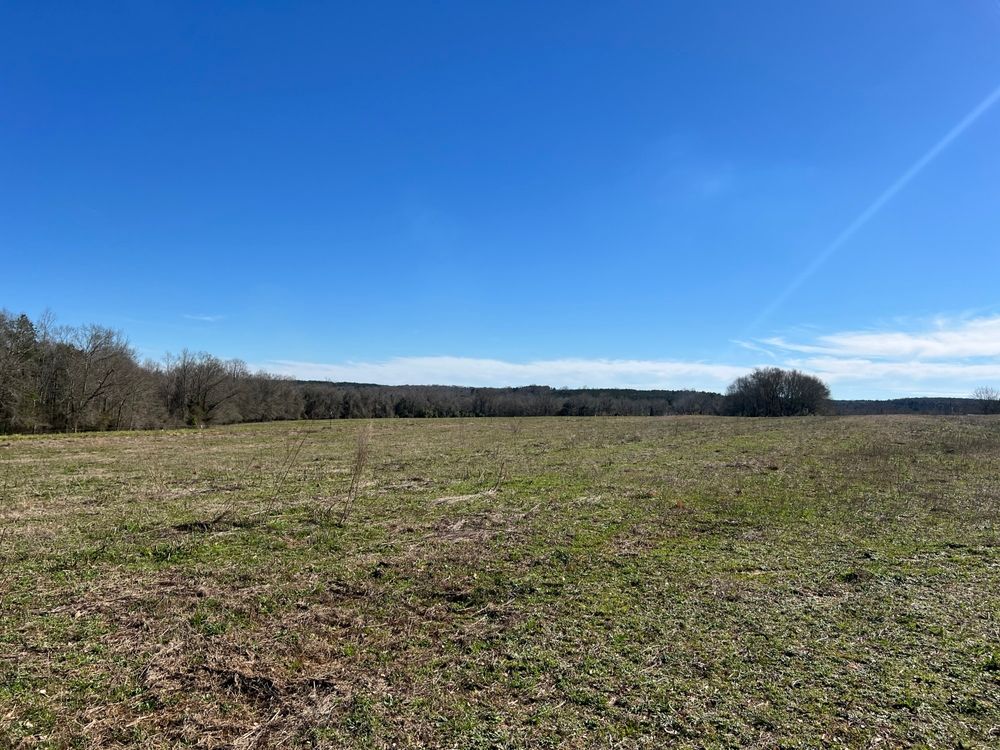 Brundidge, Pike County, AL Farms and Ranches, Commercial Property for