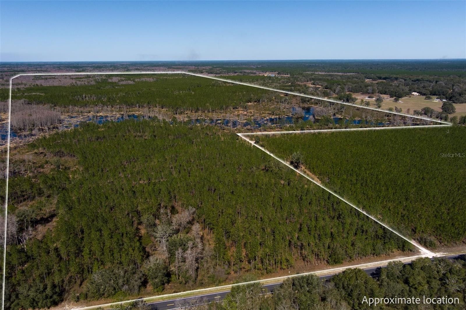 Trenton, Gilchrist County, FL Undeveloped Land, Lakefront Property