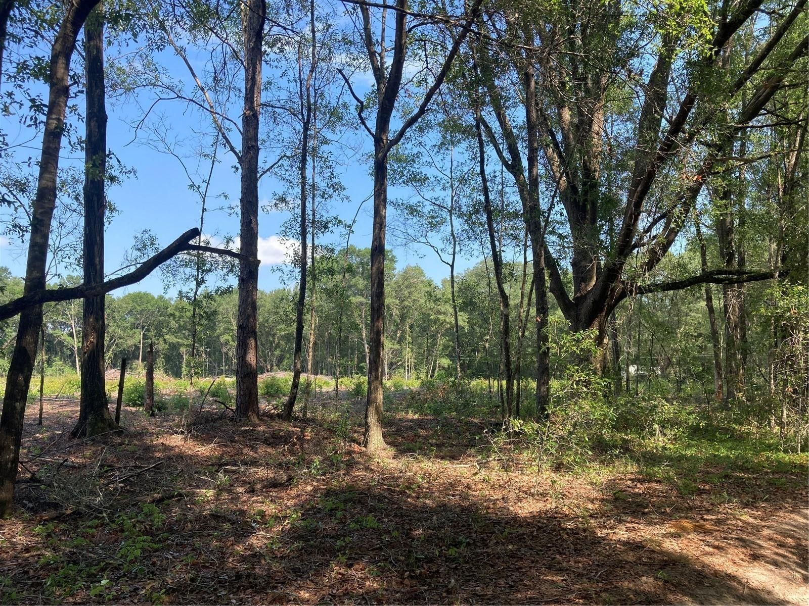 Alachua, Alachua County, FL Undeveloped Land for sale Property ID