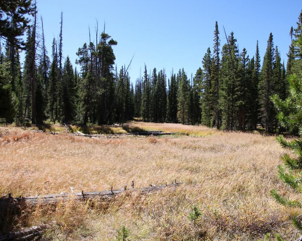 0 Richardson Rd, Ryan Park, WY 82331 LandWatch