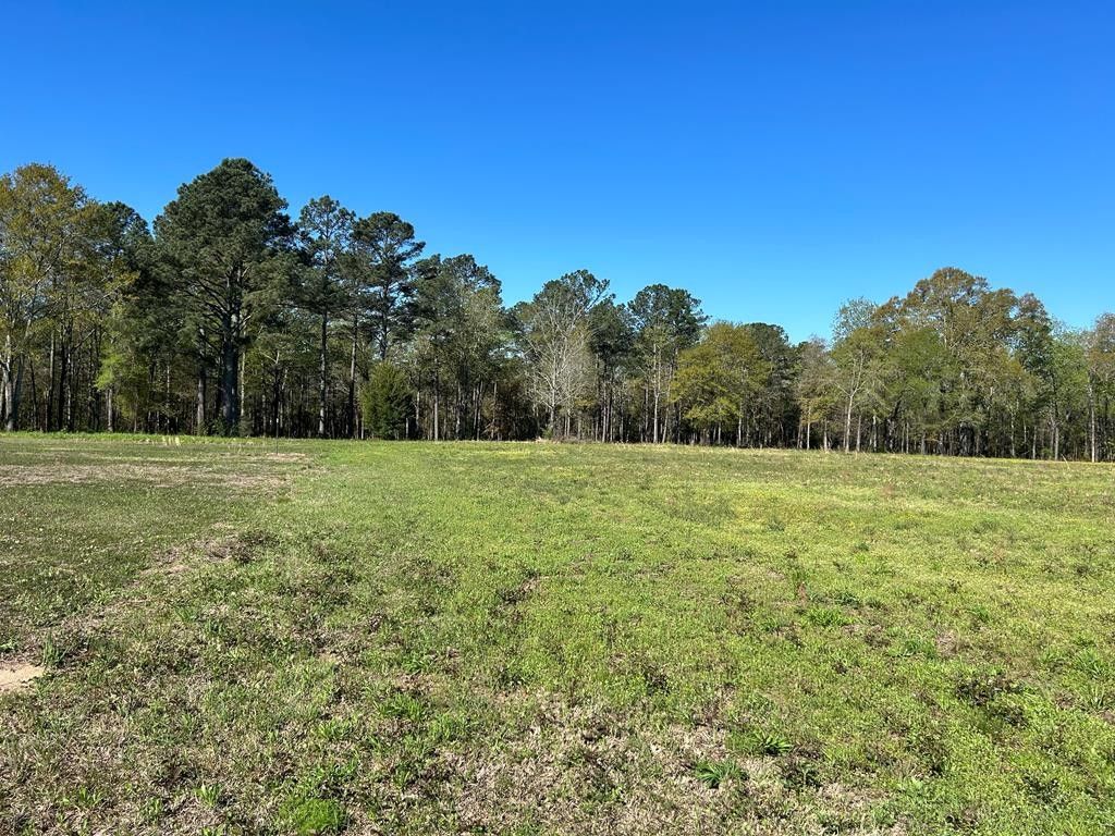 Midland City, Dale County, AL for sale Property ID 419205055 LandWatch