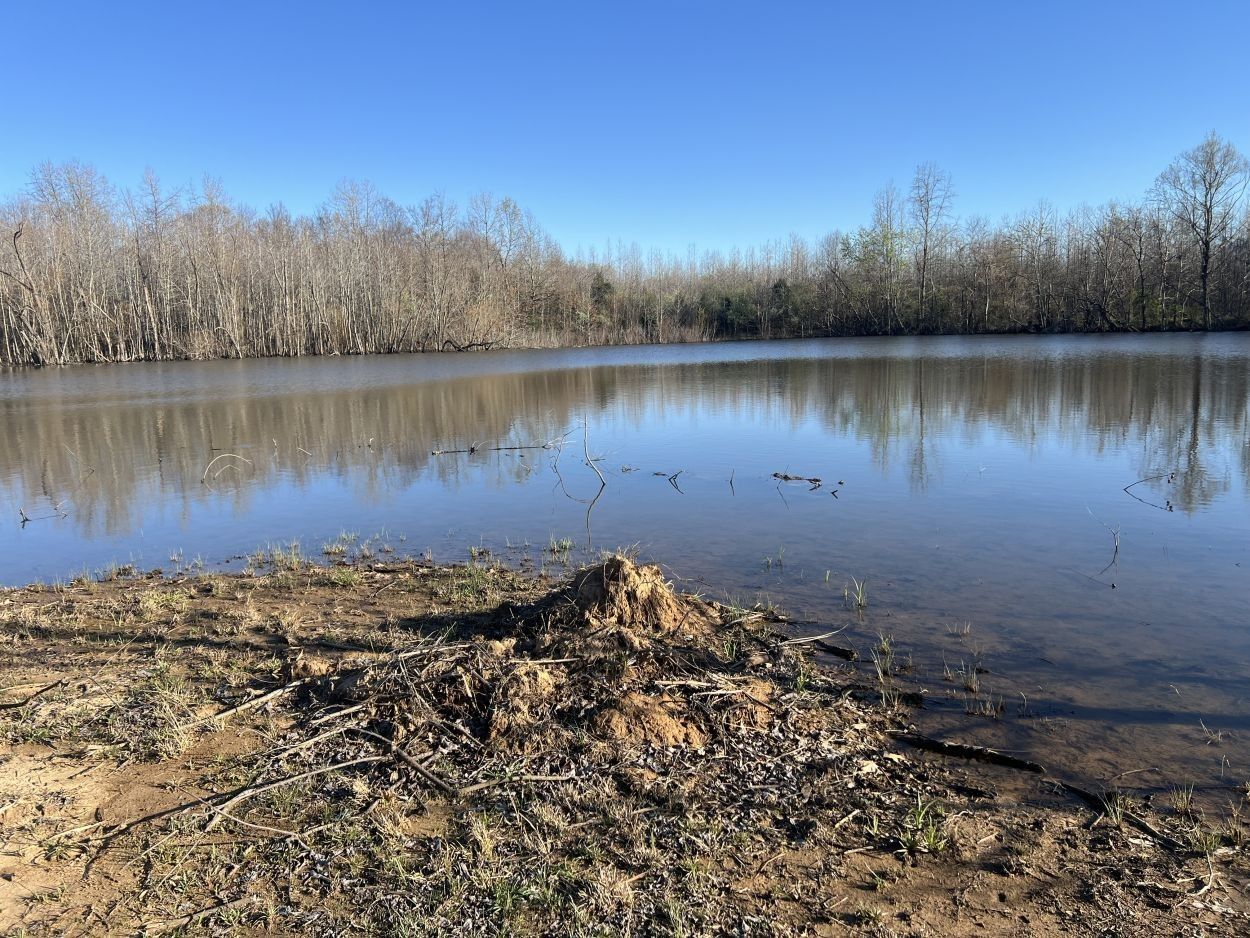 11674 County Road 256, Puxico, MO 63960 MLS 15692 LandWatch