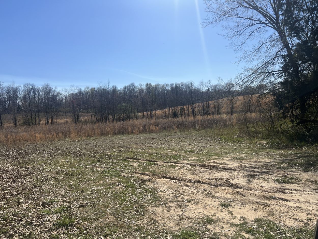 Puxico, Stoddard County, MO Undeveloped Land for sale Property ID