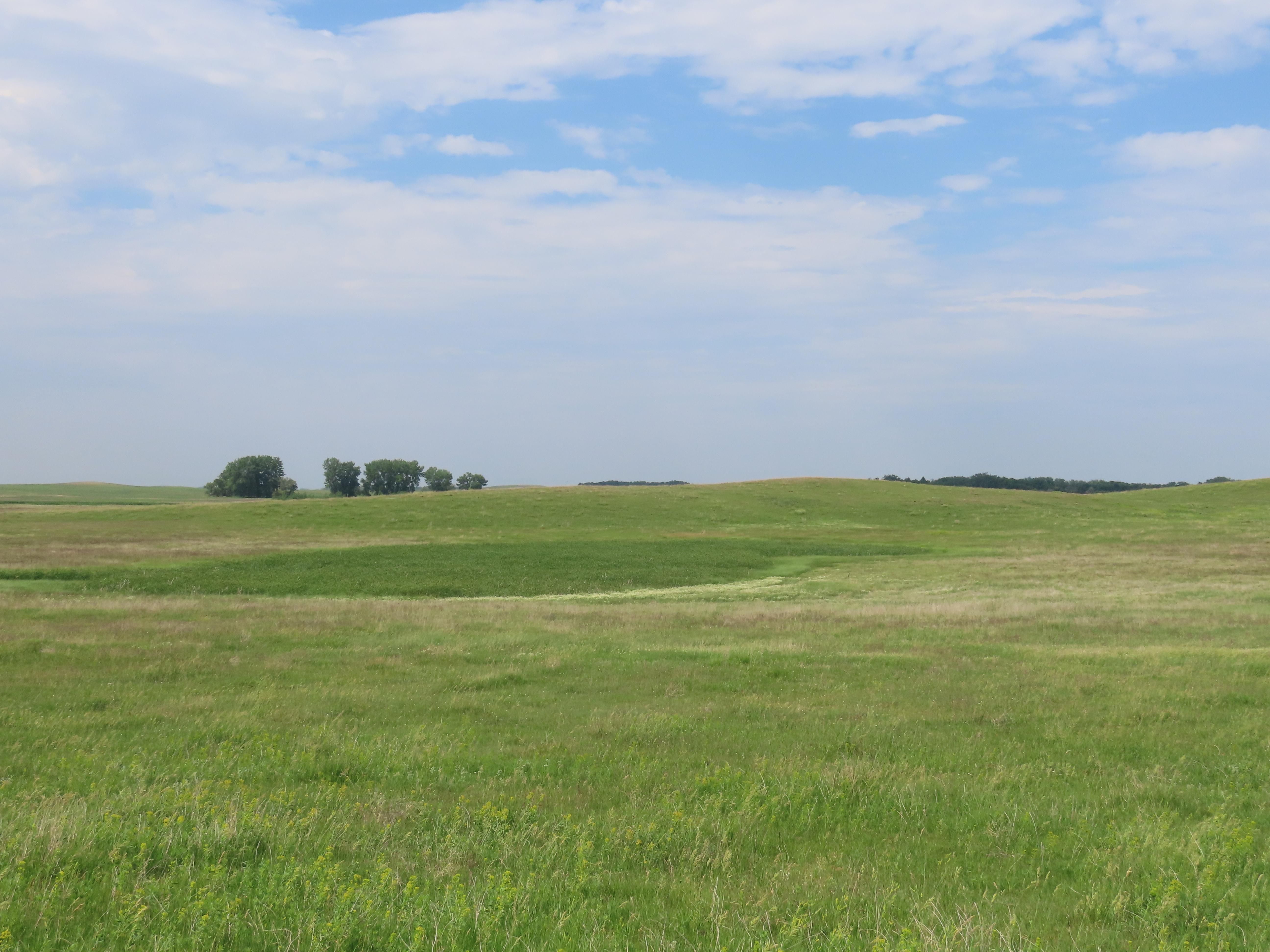 160 acres in Bowman, ND, 58623 LandWatch