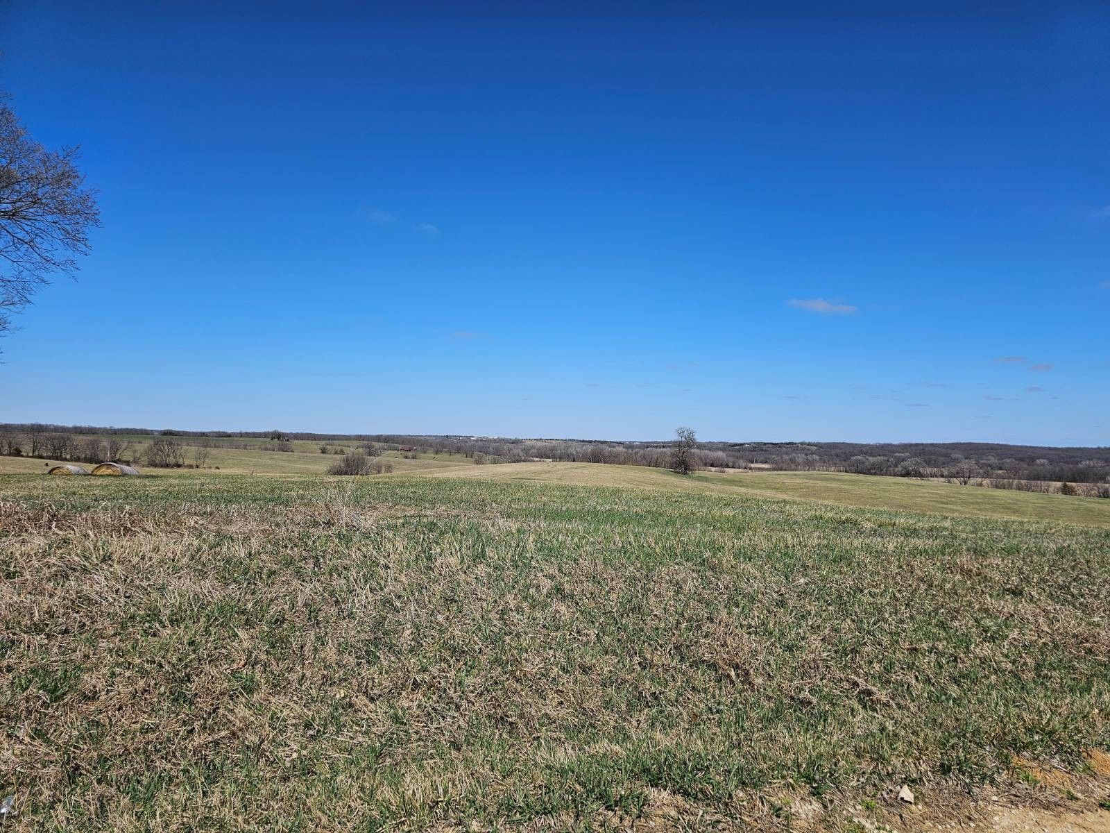 Mercer, Mercer County, MO Undeveloped Land for sale Property ID