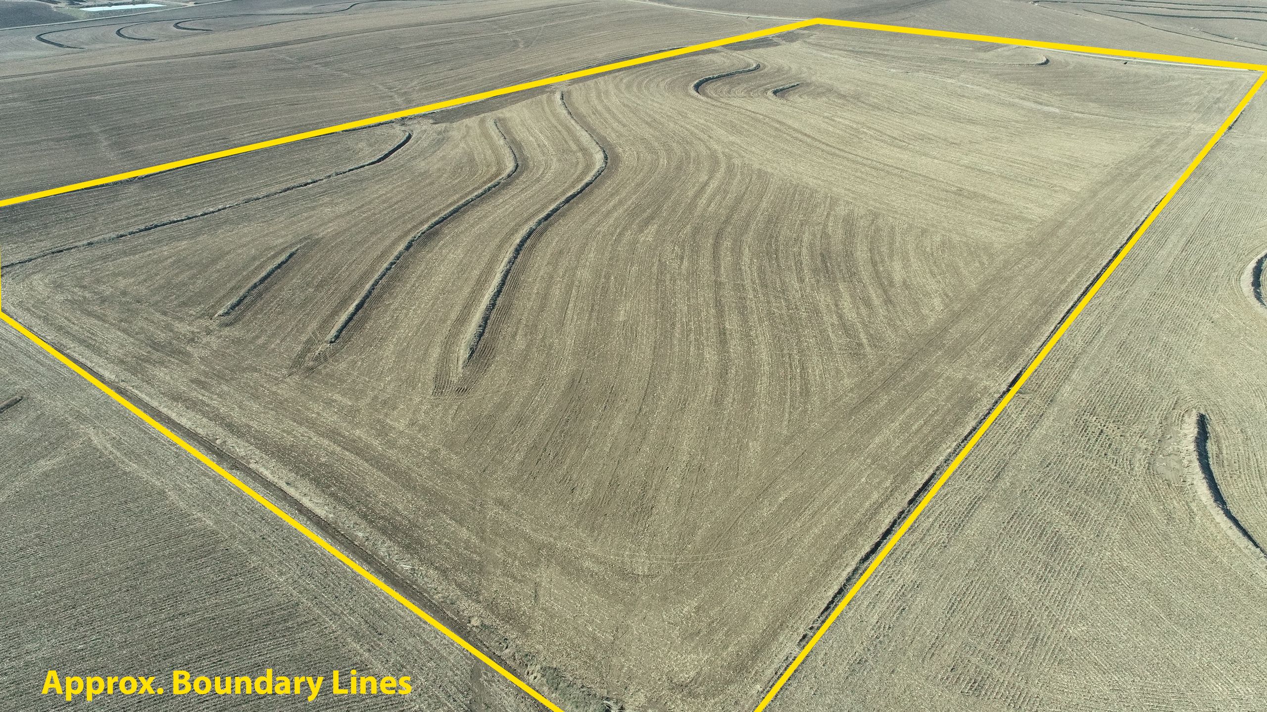 Sioux Center, Sioux County, IA Farms and Ranches for auction Property